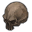 Colossal Skull